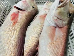 -LESCEDARS Brasserie Bistro香柏树