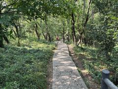 -上海佘山国家森林公园天马山园