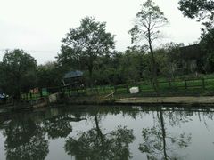 -灶头屋里