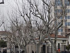 -RUMORS COFFEE ROASTERY鲁马滋咖啡(湖南路店)
