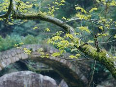 -天台山琼台仙谷景区