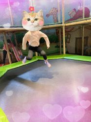 点击看大图 -KidSteam儿童乐园(富力城店)