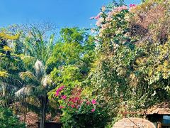 -卷心菜和避孕套餐厅(Pattaya)
