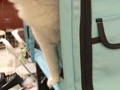 -上海月星家居(澳门路店)