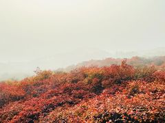 -周口店坡峰岭风景区