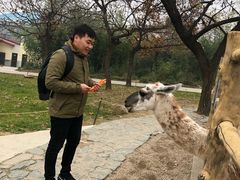 -西安秦岭野生动物园