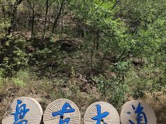 -十渡东湖港风景区