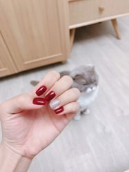 -Pink You美甲洗眉纹绣定制中心