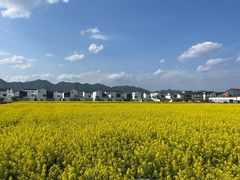 -东梓关景区村庄