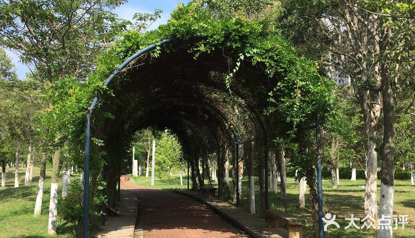 滨海公园的绿荫长廊