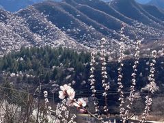 -妙峰山风景名胜区