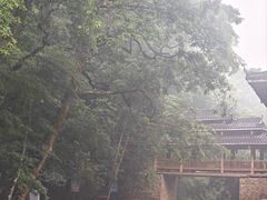 -龙颈河漂流