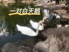 -大青山野生动物园