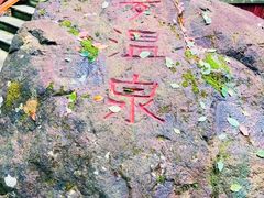 -宁海森林温泉