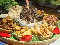 -菌彩云南野生菌火锅(万达广场店)