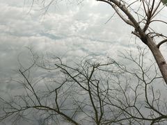 -韶山毛泽东同志故居