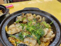 -紫金客家菜·石锅猪肚鸡(十年店)