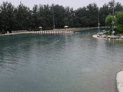 -柳浪游泳场