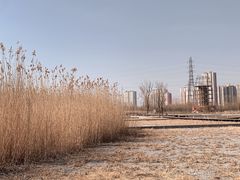 -永定河休闲森林公园