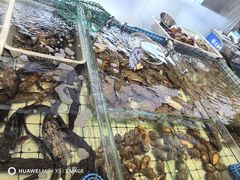 -大锅强·蒸海鲜青岛菜(金沙滩店)