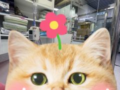 -达爱动物医院·犬猫分区·CT·复杂眼科(远洋山水分院)