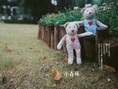 -汇龙潭