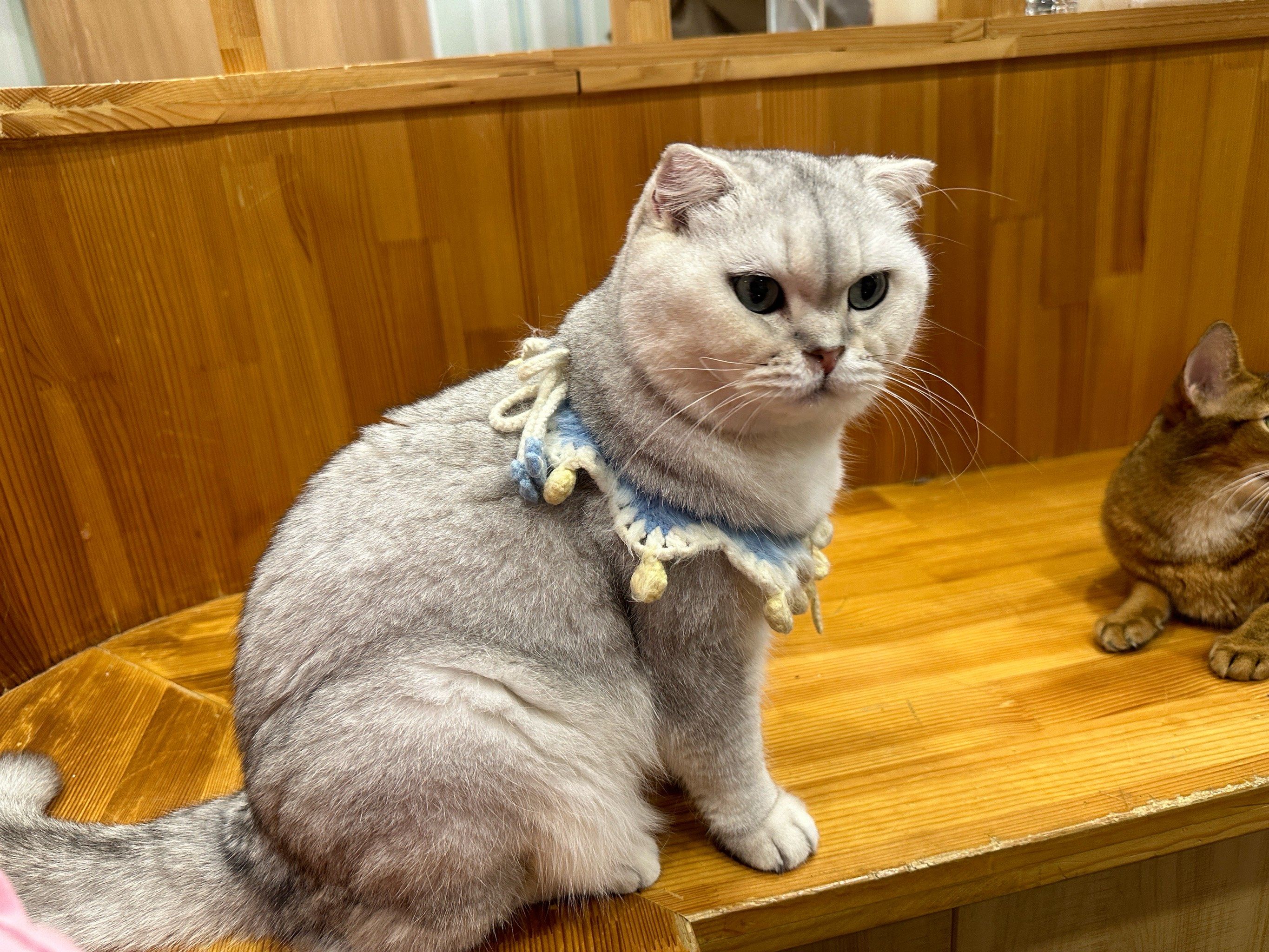 呜呜呜 真的太可爱了 环境也很好