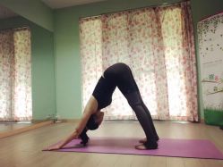 -齐伽生活馆·瑜伽·普拉提·阿育吠陀