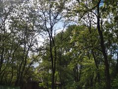 -长白岛森林公园