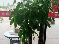 -张钰强中医正骨推拿连锁(唐家人才公寓店)