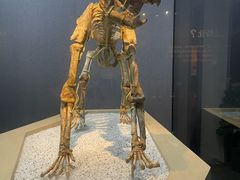 -武汉园博园(武汉自然博物馆)