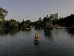 -荔湾湖公园