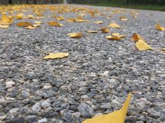 -汉长安城未央宫国家考古遗址公园