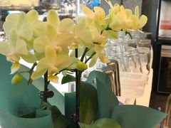 -MQ COFFEE STAND明谦(新洲店)