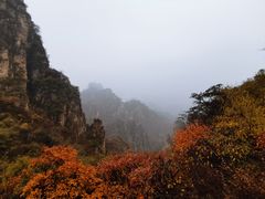 -狼牙山风景区