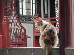 -檀园