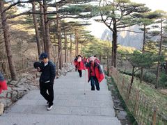 -黄山白云宾馆