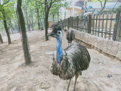 -大连森林动物园