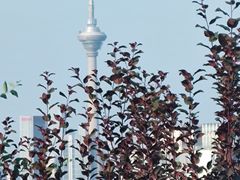 -南翠屏公园