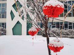 -老村长•湖北菜(大武汉1911店)