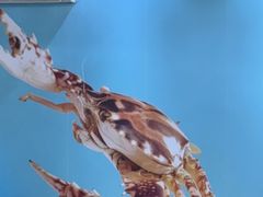 -小海豚•老字号海鲜餐厅(天涯店)