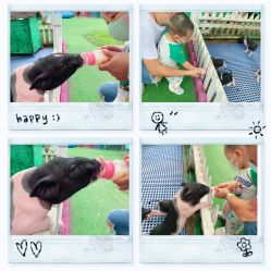 -萌宠亲子动物乐园(槐房万达店)