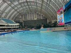 -环球中心海洋乐园