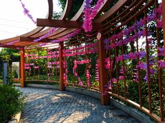 -广州神农草堂中医药博物馆