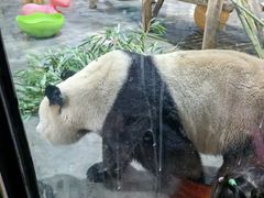 -栾川竹海野生动物园