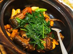 -津津菜馆(绝没分店)