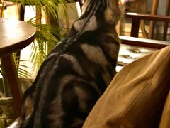 -咖法森林·咖啡  酒吧(天河店)