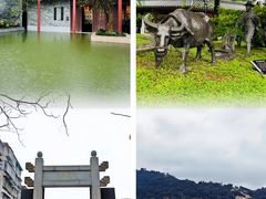 -广州神农草堂中医药博物馆