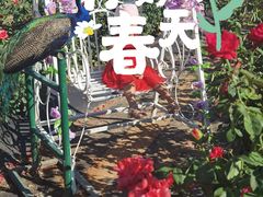 -亚龙湾国际玫瑰谷