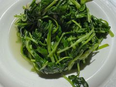 蒜蓉鸡毛菜-金枝玉叶上海人家食府(三里河店)
